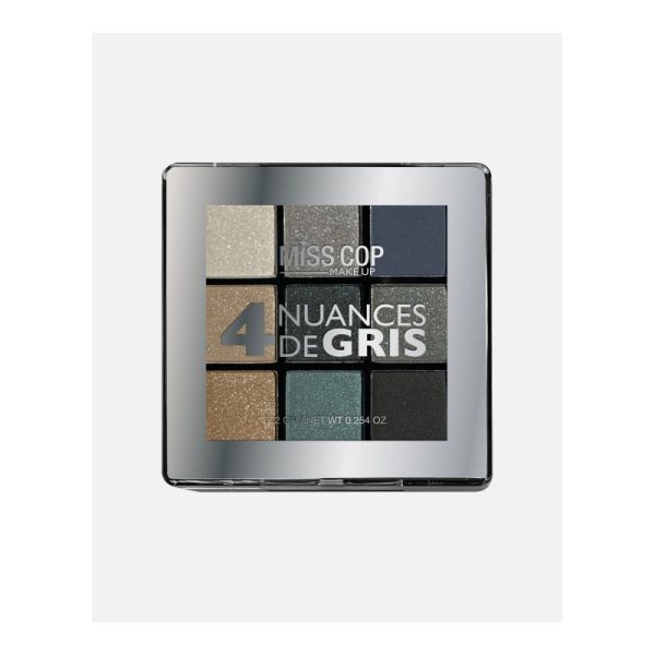 PALETTE YEUX NUANCIER 04 GRIS