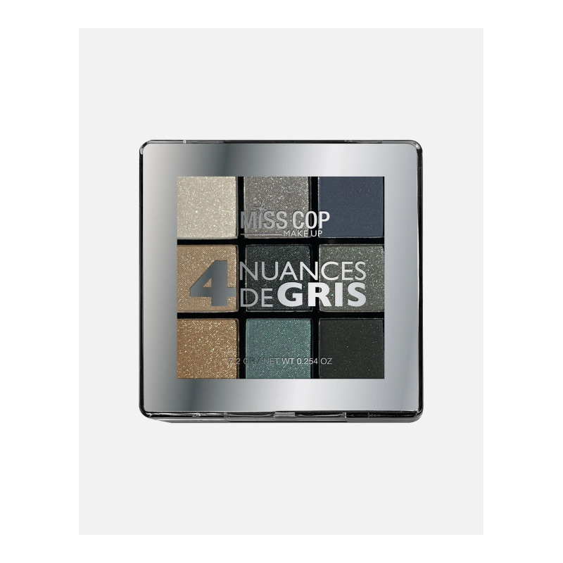PALETTE YEUX NUANCIER 04 GRIS